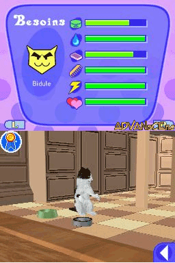 Catz 2 screenshot 3 for Nintendo DS